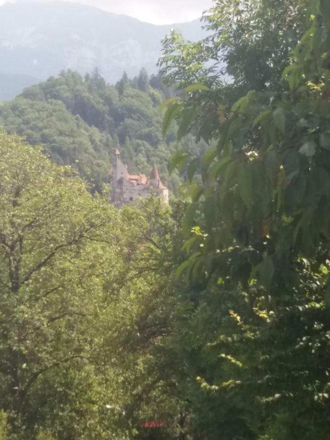 Pensiunea Vladut Bran  Exterior foto